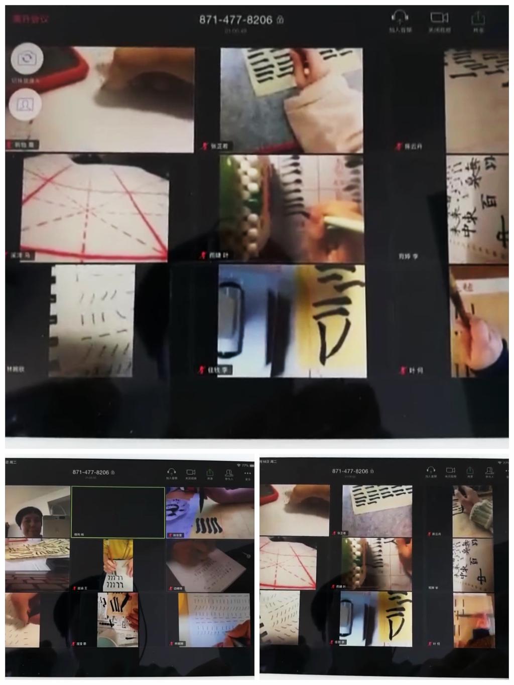 6T体育